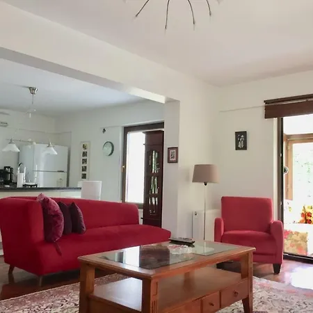 فيلة Bella 15 *